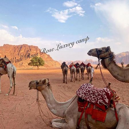 Wadi Rum Rose Luxury Camp エクステリア 写真