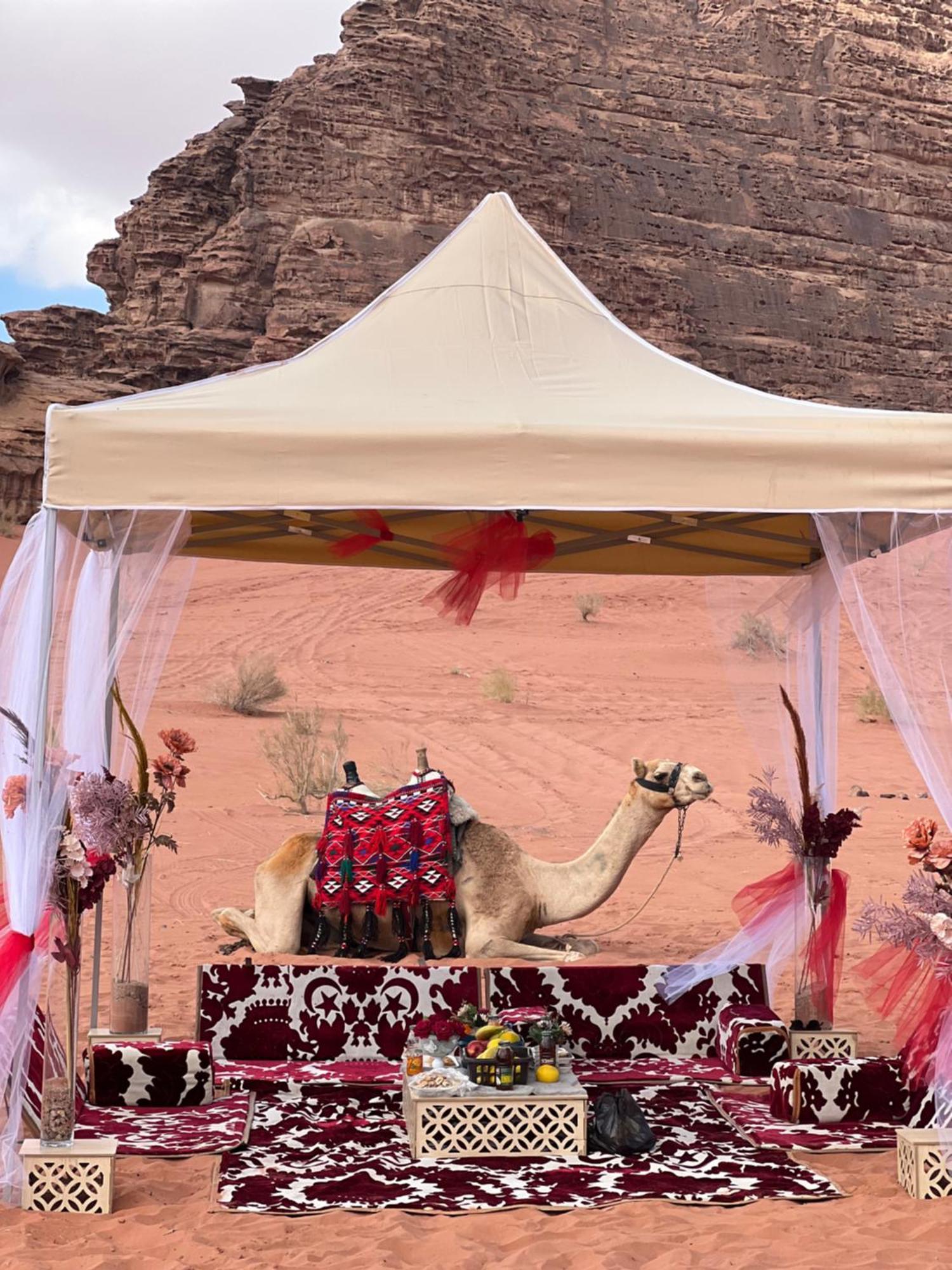 Wadi Rum Rose Luxury Camp エクステリア 写真