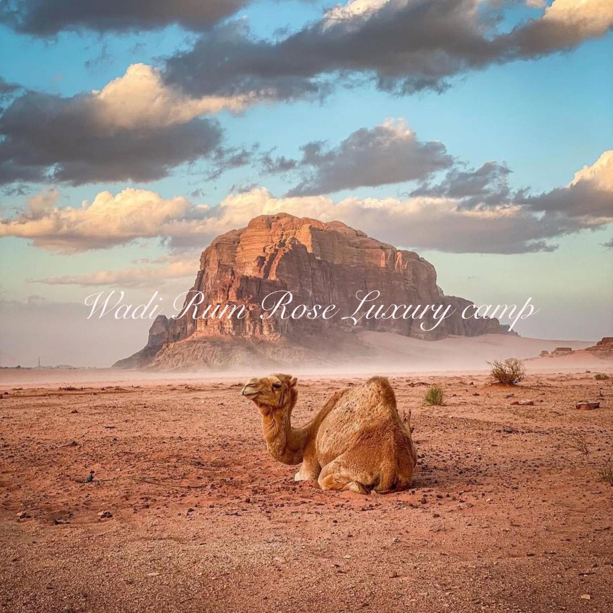 Wadi Rum Rose Luxury Camp エクステリア 写真