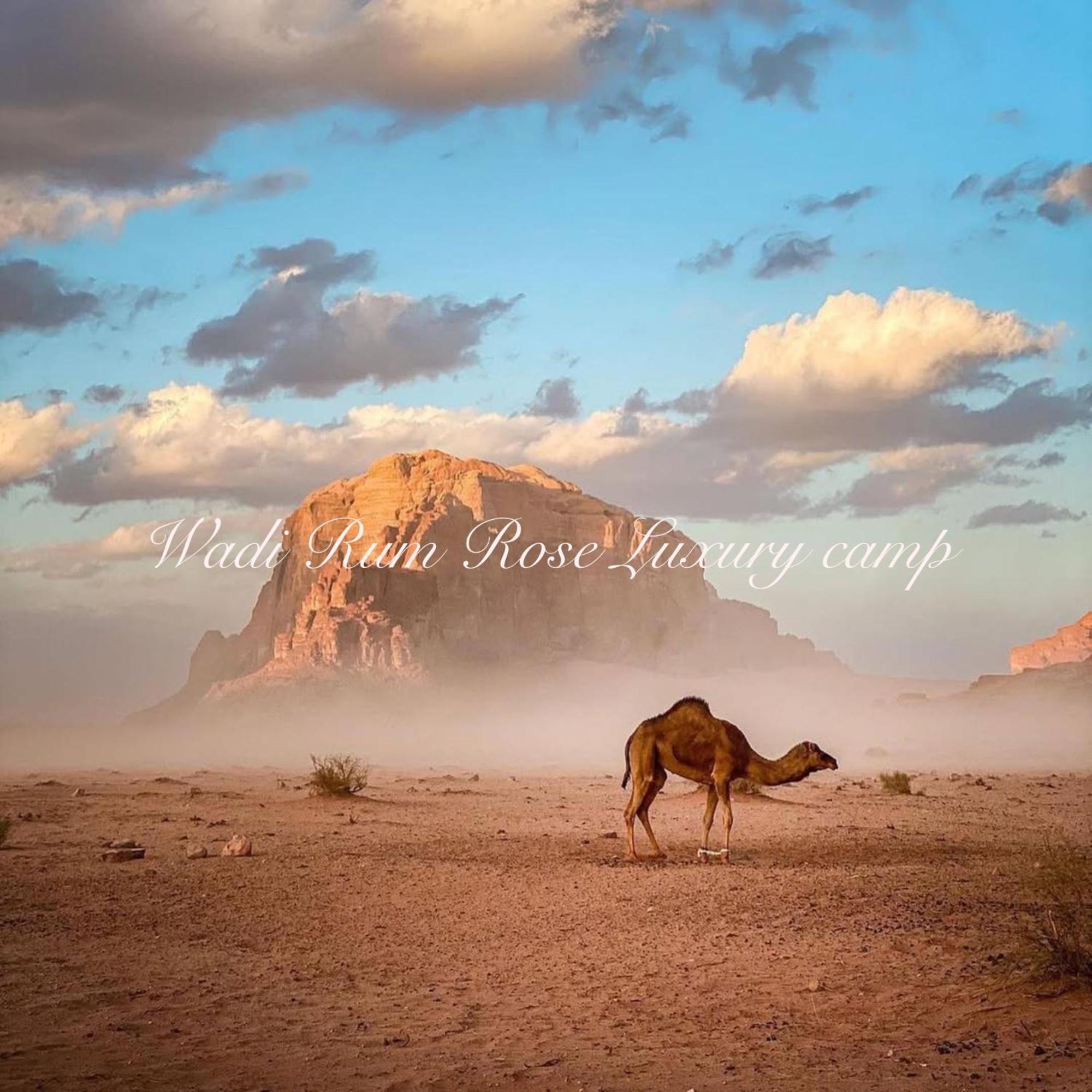 Wadi Rum Rose Luxury Camp エクステリア 写真