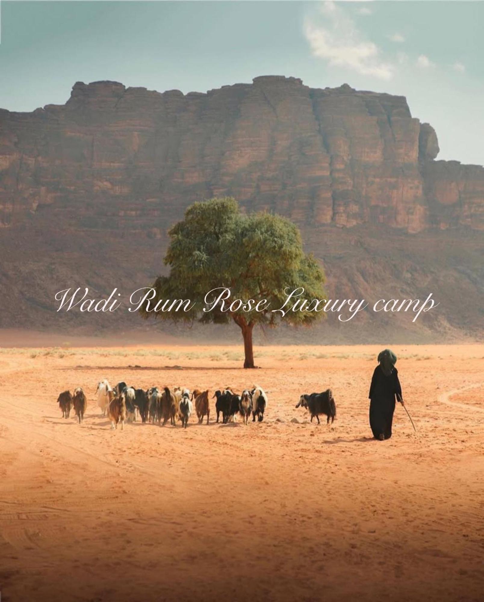 Wadi Rum Rose Luxury Camp エクステリア 写真