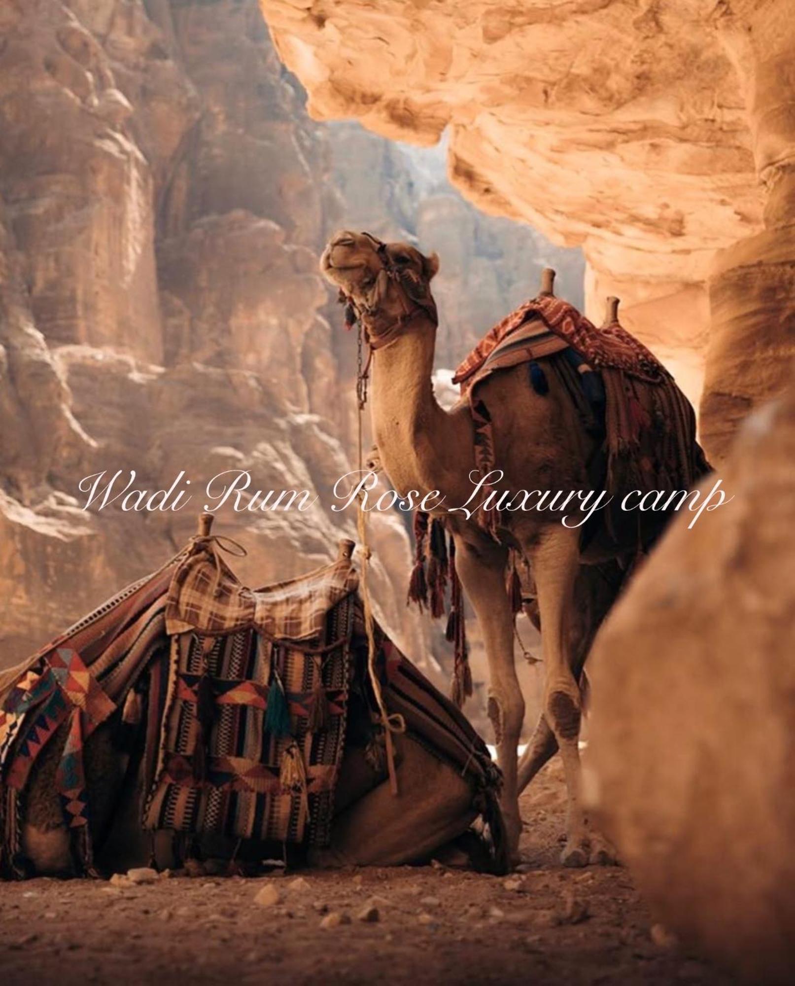 Wadi Rum Rose Luxury Camp エクステリア 写真